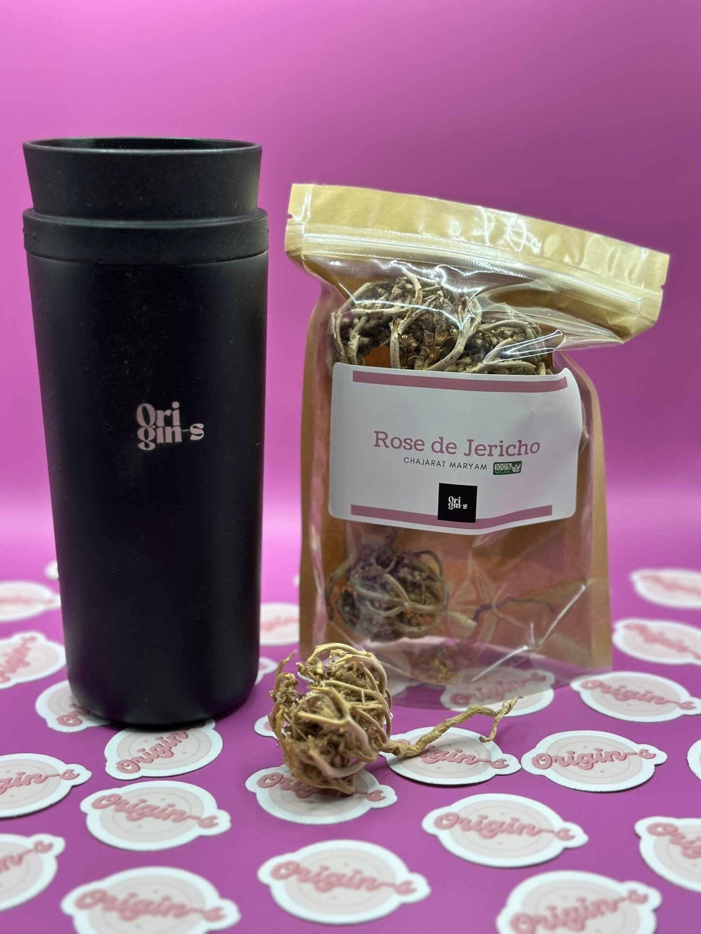 Rose de Jericho - ORIGIN-S