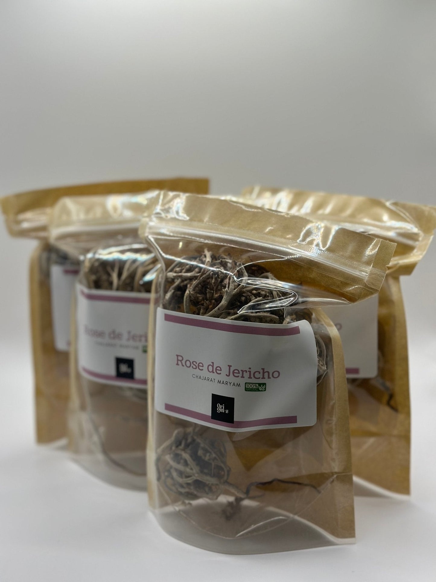 Rose de Jericho - ORIGIN-S