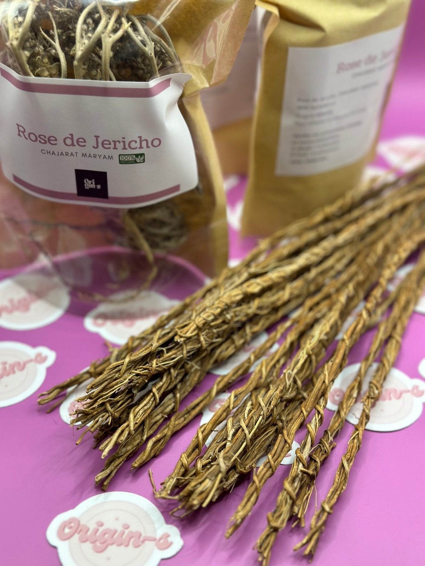 Rose de Jericho - ORIGIN-S