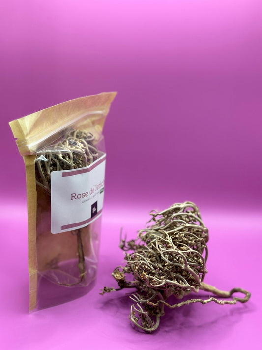 Rose de Jericho - ORIGIN-S